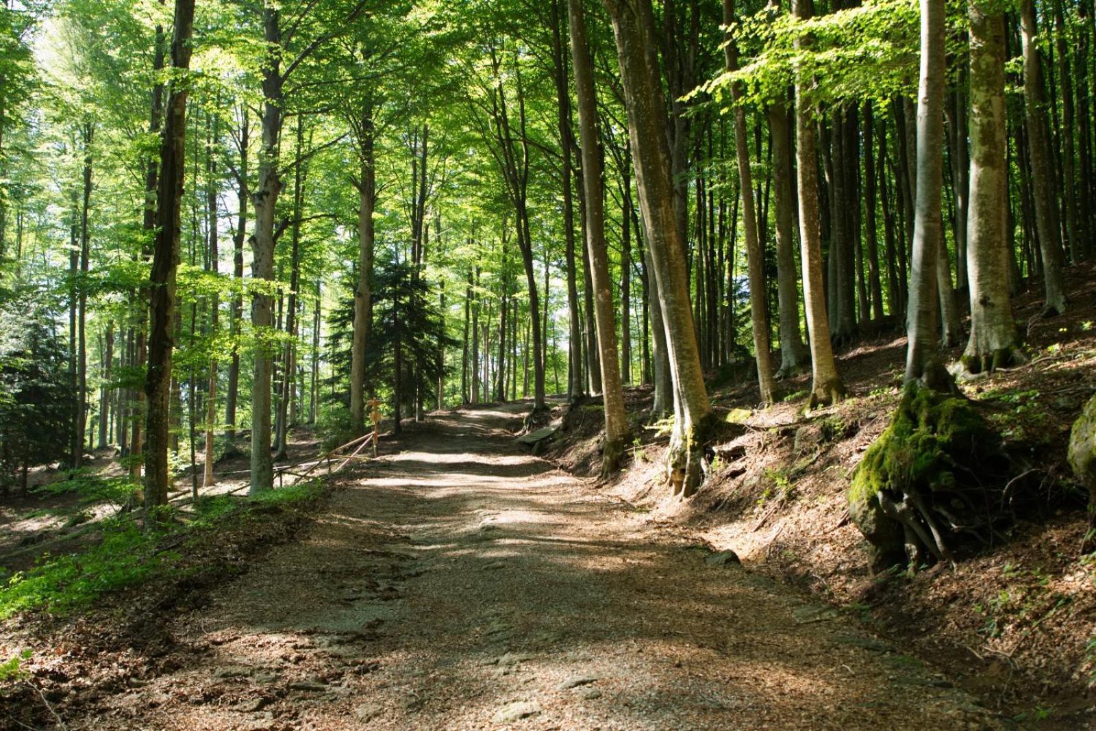 Mova Appartamenti Vacanze Bagni San Filippo Kültér fotó
